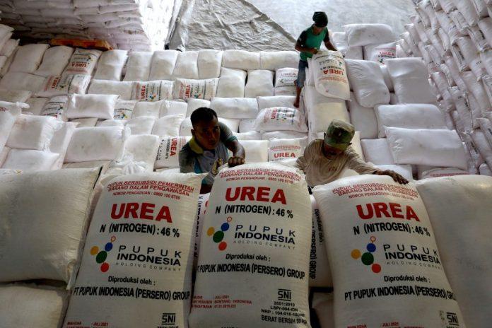 Layak Dievaluasi! Anggaran Pupuk Subsidi Tak Sebanding dengan Capaian Produktivitas